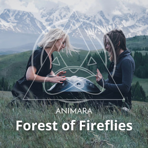 animara_endless practice